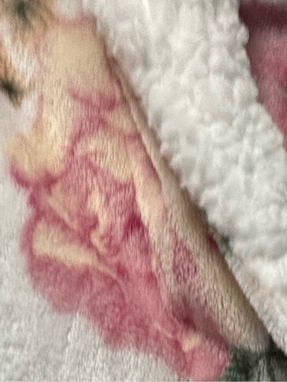 Flora Plush Floral Print Robe w/ Sherpa Like Shawl Collar- Cream, Pink & Green - Picture 5 of 14